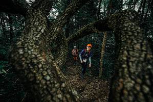 BIB: 
                            <button type="button" onclick="openModal(25686441)" class="btn btn-primary btn-sm float-right btn-popup" data-toggle="modal" data-target=".modal-high-quality">
                        <i class="fas fa-shopping-cart"></i> Add to Cart
                    </button>
                                            <button type="button" onclick="isThisMe(25686441, true)" class="btn btn-success btn-sm float-right btn-popup btn-isme hidden" data-toggle="tooltip" data-placement="bottom" title="นี่คือรูปของคุณใช่ไหม คลิกที่นี่เพื่อเอาเข้าอัลบั้ม">
                        <i class="fas fa-plus"></i> Add to album
                    </button>
                    <button type="button" onclick="isThisMe(25686441, false)" class="btn btn-warning btn-sm float-right btn-popup btn-isnotme hidden">
                        <i class="fas fa-ban"></i> Remove from album
                    </button>